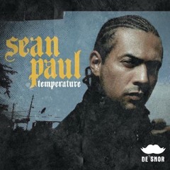 Sean Paul - Temperature (De Snor Remix) FREE DOWNLOAD