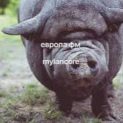 Европа Фм Mylancore