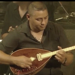 ‎⁨ערב טוב לך הופעה⁩