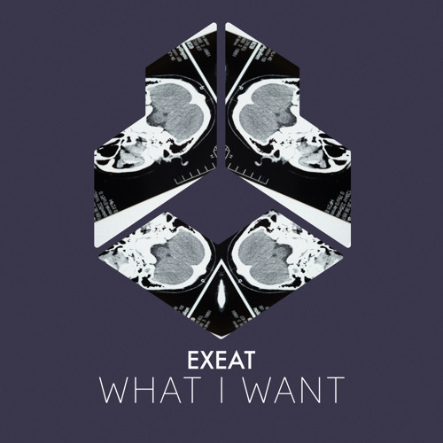 What I Want (Extended Mix)