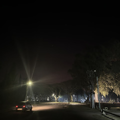 MARTINLEIB JANUARY CLIPS '21