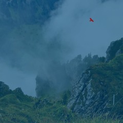 The Pathless Nyckelharpa Contest