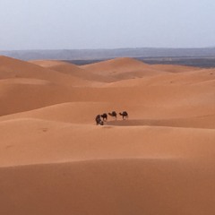 Deuxième étappe de la Reconnaissance de Chameau
