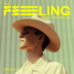 The Feeling (Lost Frequencies & Andromedik Deluxe Mix)