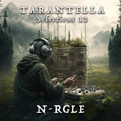 Selections 12 -  N-rgle - Spirit Of Narduzzo
