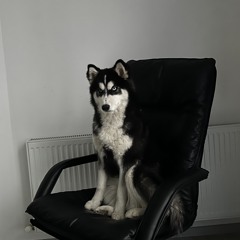 Legkaya airobika tela