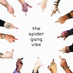 the spider gang vibe