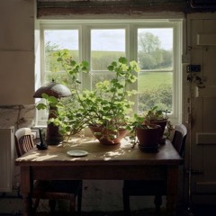 Bottengoms, Wormingford, Essex - 6th April 2017