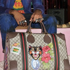 Gucci bag (by Ocean96, not mine)