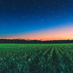 Late farming