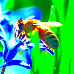 Try Toning It Down [original instrumental]