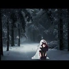 Ideal Picture - Heiakim Remix