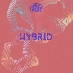 • Hybrid mixes •