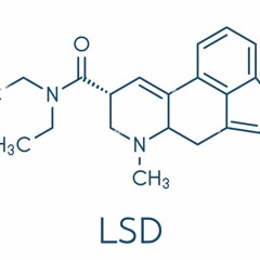 Multi Smart Moron - LSD25
