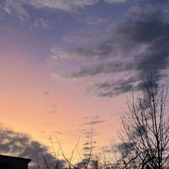 where have i heard this before