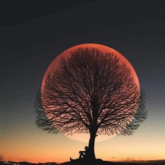 Magical Thoughts // Melodic & Progressive House