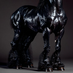 DARK HORSE [98rising]