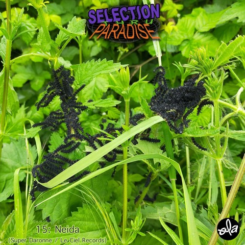 Selection Thru Paradise 15 • Sevenbeatz invite Neida (10.07.20)