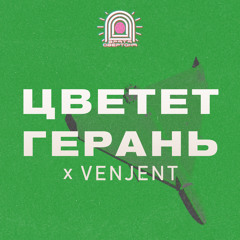 Цветет Герань and Venjent