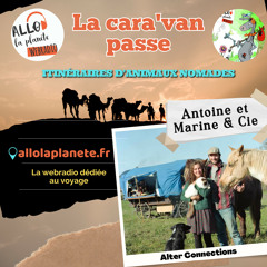 Antoine, Marine et Compagnie
