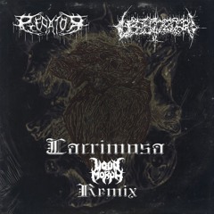 Predator & Lepidoptera - Lacrimosa (Liquid Morph Remix)