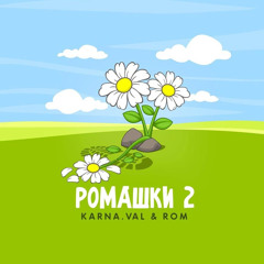 Ромашки 2 drill
