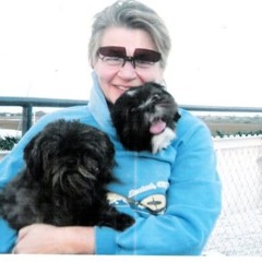 Stay or Leave (Dave Matthews cover)