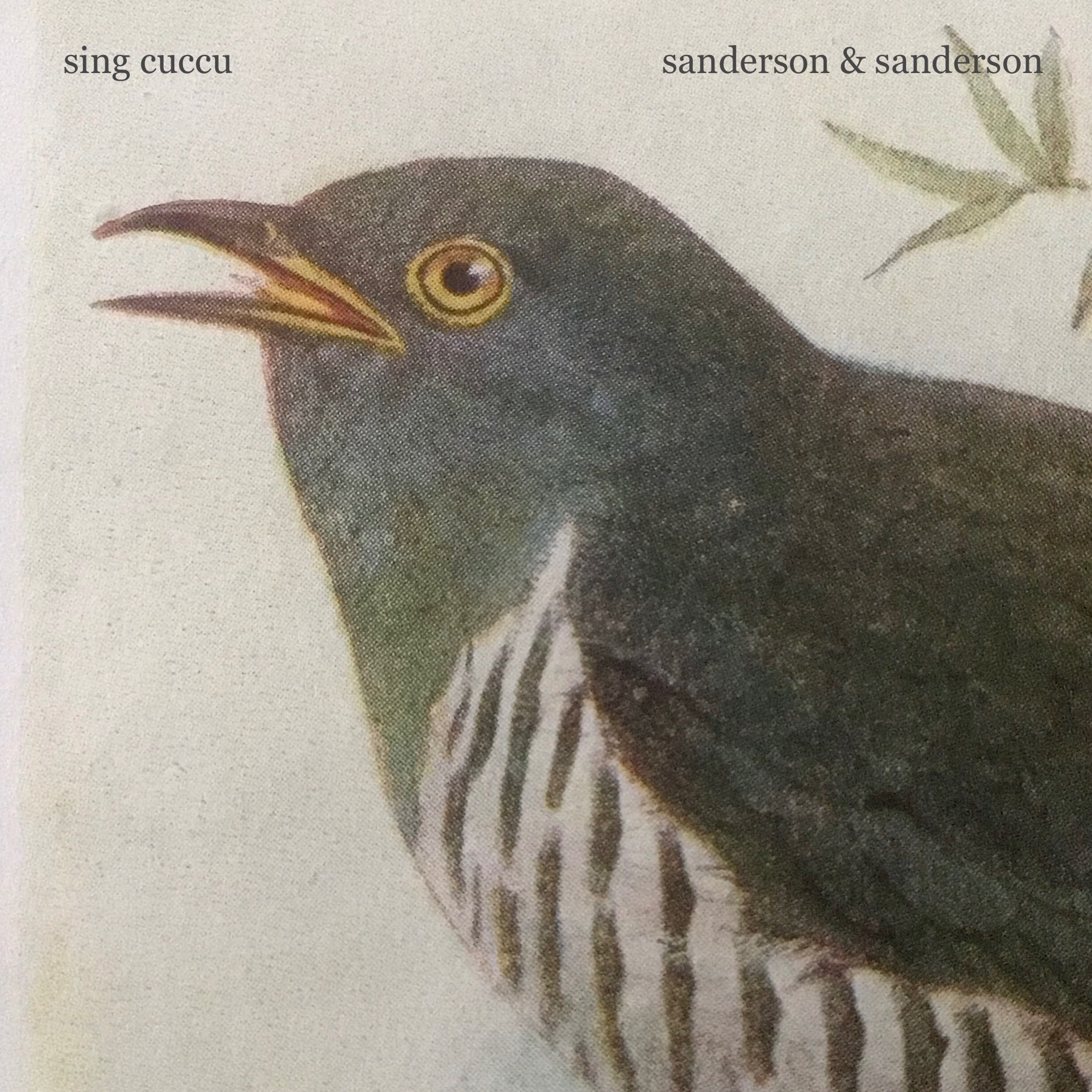 sing cuccu episode artwork