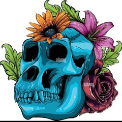 Monkey skull party 1.0