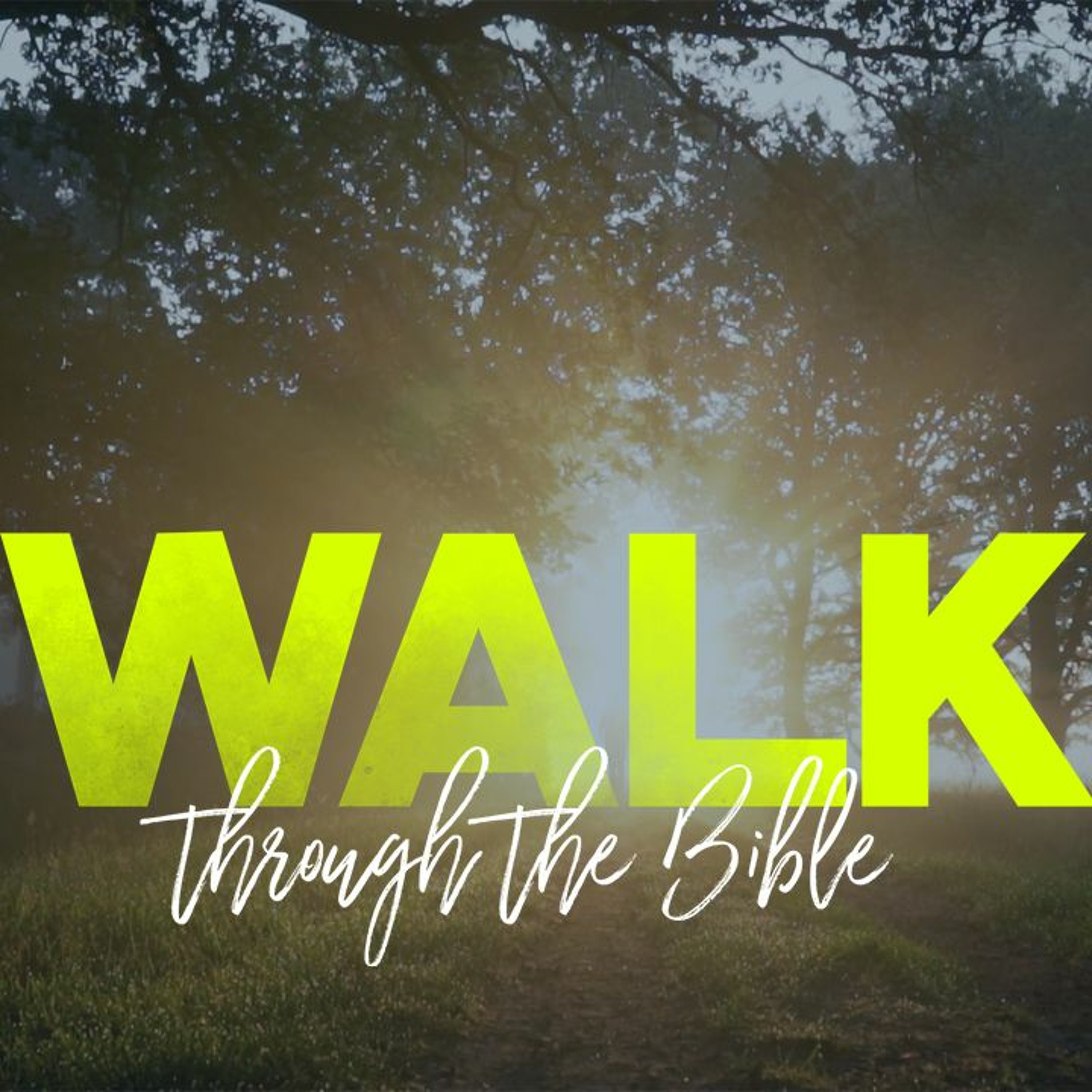 Walk Through The Bible 29