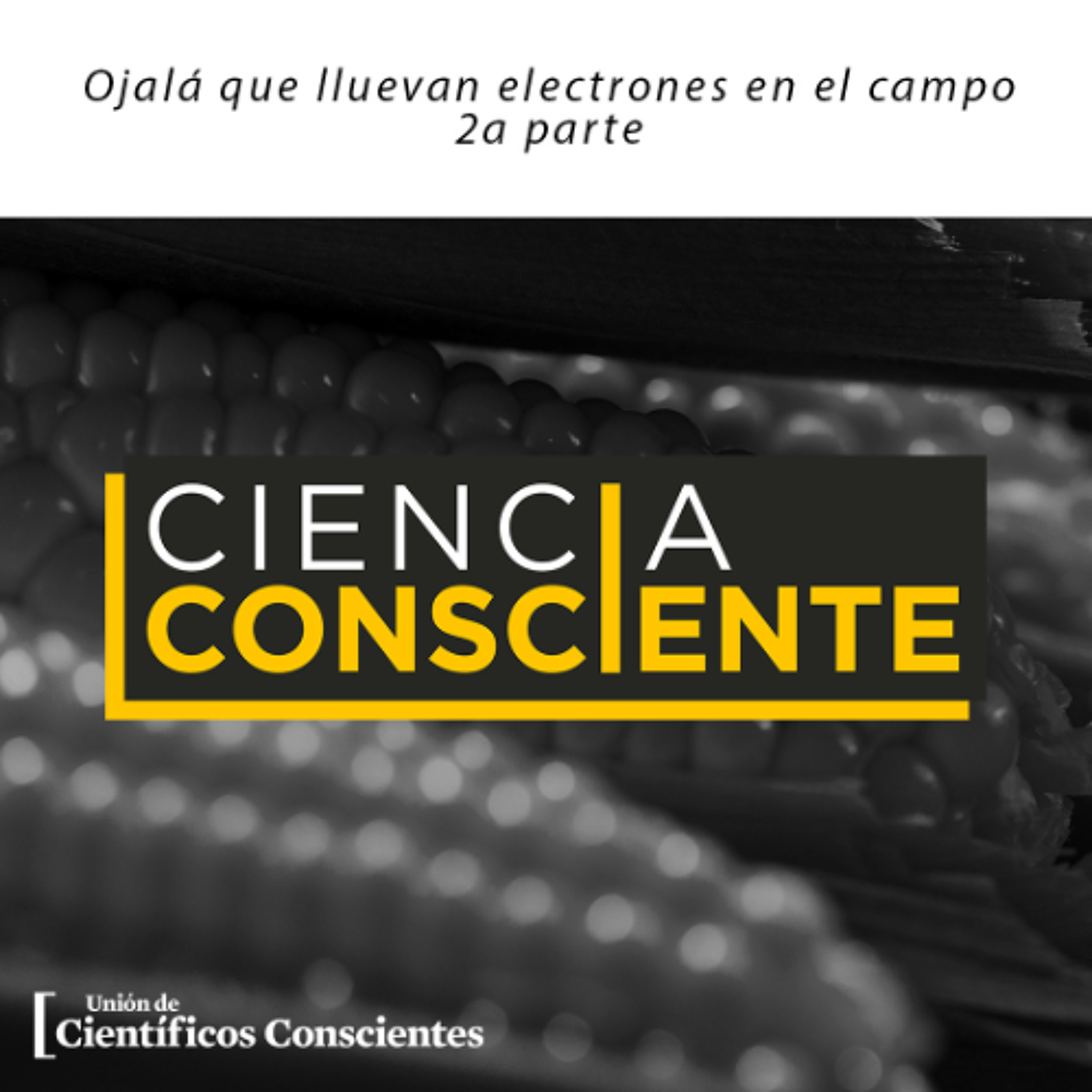Ciencia Consciente