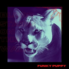 GAZING(original mix out on Spotify)