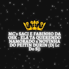 MC's SACI E FABINHO DA OSK - ELA TA QUERENDO NAMORADO x NOVINHA DO PEITIN DURIN (Dj Lc Do Sj)