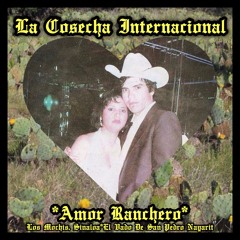 Amor Ranchero