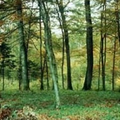 나는 여기에있다