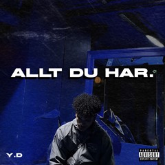 ALLT DU HAR