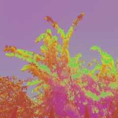 Drone de balcon Montreal 014