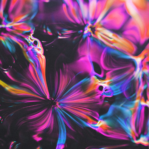 Bittersweet Lullaby (Seismal D Remix) RADIO EDIT