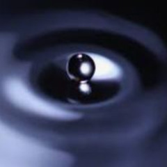 liquid dynamics