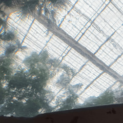 drowning in silence (but loud about it)