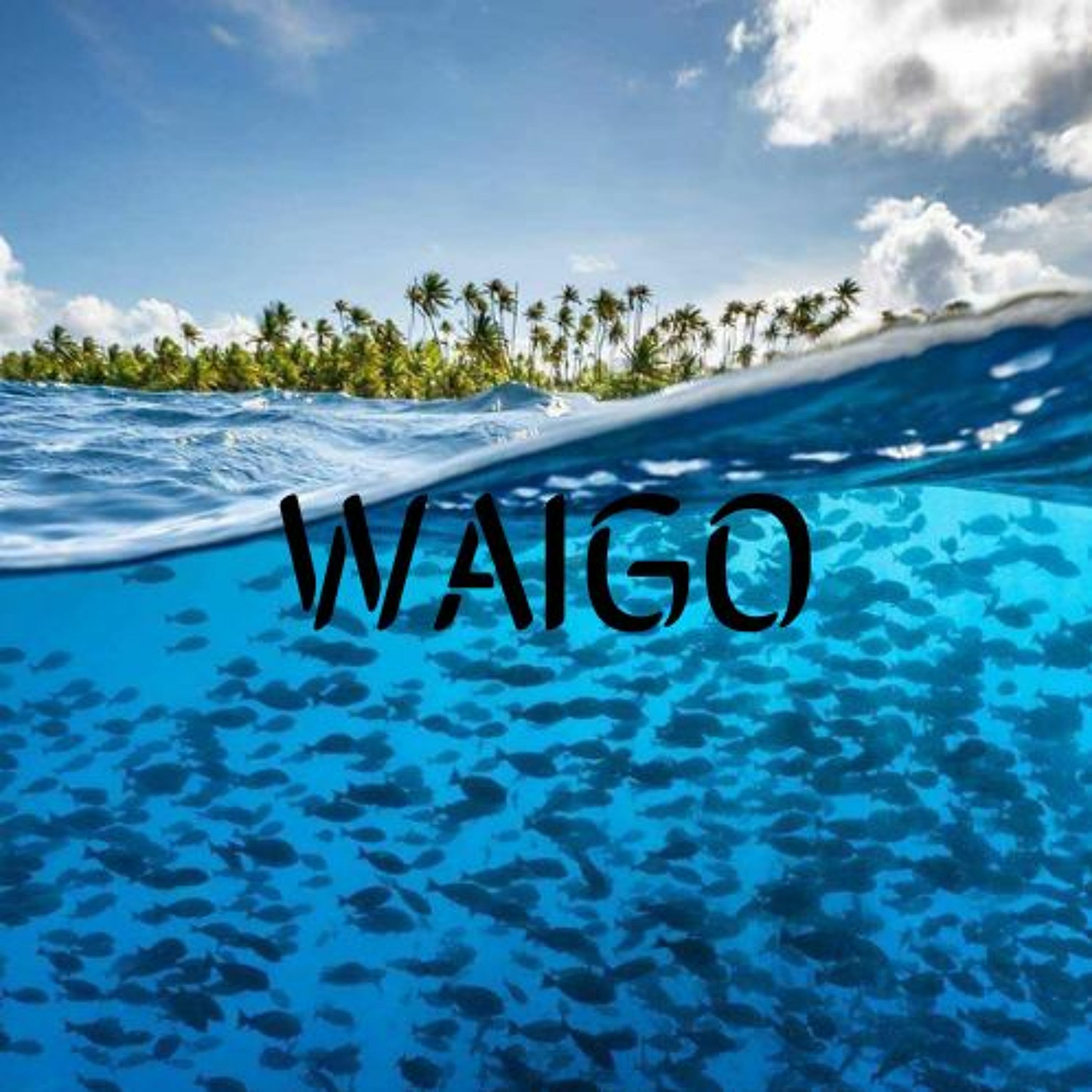 WAIGO - (ANOMA Tahiti Remix) episode artwork