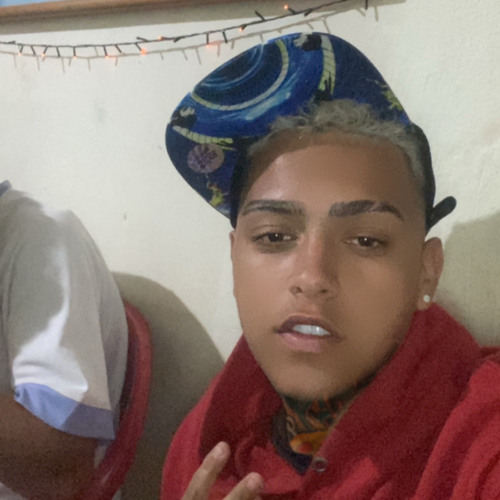 MTG SOU UM GORDINHO GOSTOSO - DJ TIAGUIN PROD