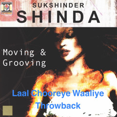 Laal Choorey Waliye - Venture DJ’s Remix.m4a