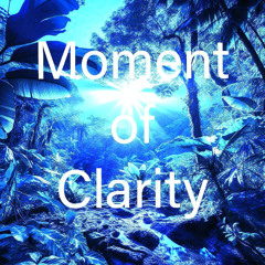 Moment of Clarity