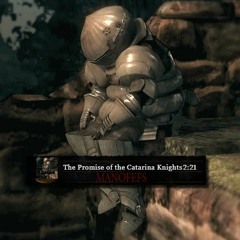 The Promise Of The Knights Of Catarina