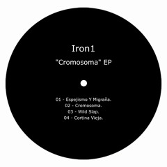 Iron1 - Wild Slap (Original Mix)