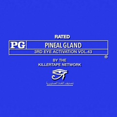 RATED PINEAL GLAND (3RD EYE ACTIVATION) VOL.43 side a