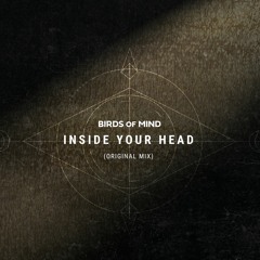 Birds Of Mind - Inside Your Head (Snippet)
