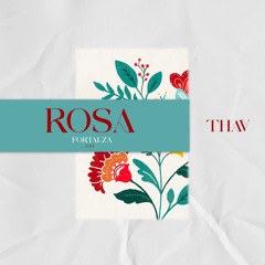 Rosa ( Fortaleza edit ) - DJ THAV