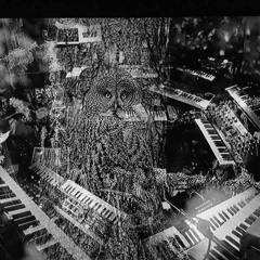 The Astral Traveler!